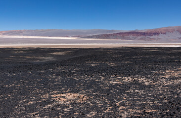 Argentina: Puna - off road adventure around Volcan Carachi Pampa, a surreal and beautiful landscape surrounded by a lagoon and a field of pumice