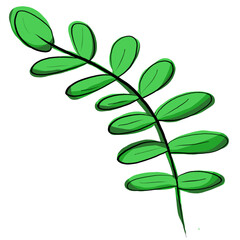 Obraz premium green leaves