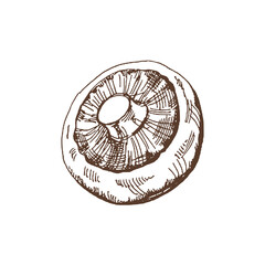 Organic food. Hand drawn vector sketch  of champignon.  Doodle vintage illustration. Decorations for the menu of cafes and labels. Engraved immage.