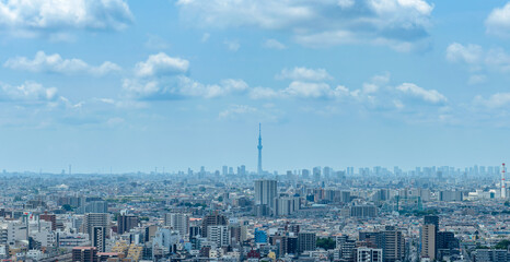 都市風景　スカイツリーと東京のビル群　埼玉より東京方面を望む