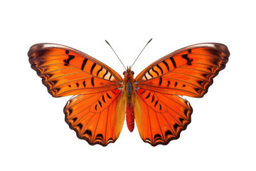 Fototapeta na wymiar Orange Butterfly On Isolated Transparent Background, Png. Generative AI