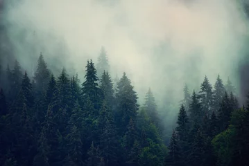 Abwaschbare Fototapete Morgen mit Nebel Misty mountain landscape