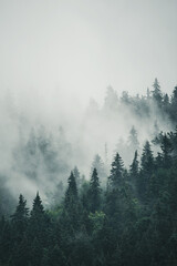 Misty mountain landscape - 620496849