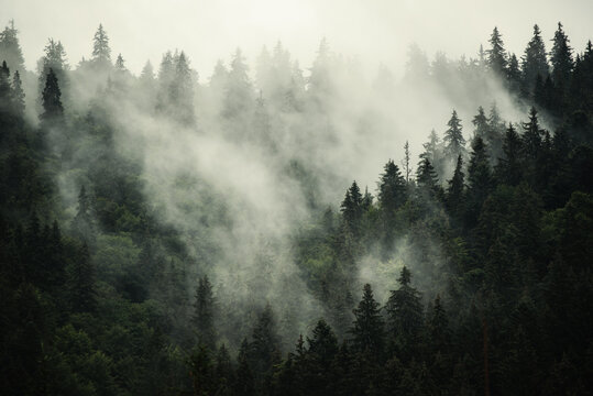 Misty mountain landscape © Roxana