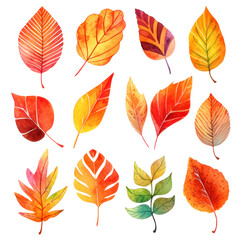 Vibrant fall foliage, collection of autumn leaves isolated on white, illustration in watercolor style