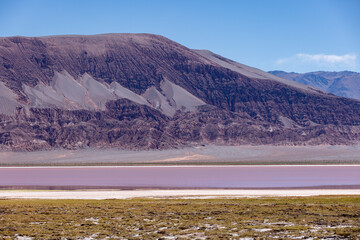 Argentina: Puna - off road adventure around the colorful Laguna Carachi Pampa, a surreal and...