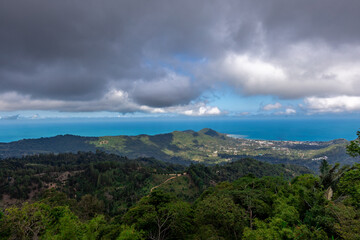 panoramic background of high mountain scenery, overlooking the atmosphere of the sea, trees and wind blowing in a cool blur, spontaneous beauty