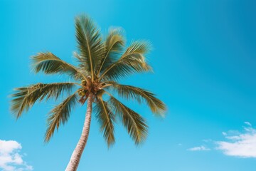 Tropical palm tree against a blue sky. Generative AI
