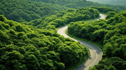 Winding curvy rural road with light trail from headlights leading through countryside.