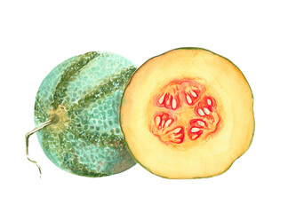 Zebra melon, watercolor illustration. Stickers, print, pictures for alphabet blocks 