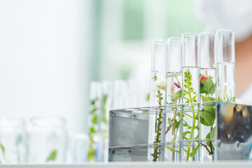 eco skin care beauty products in laboratory development concept, Natural drug research with organic...