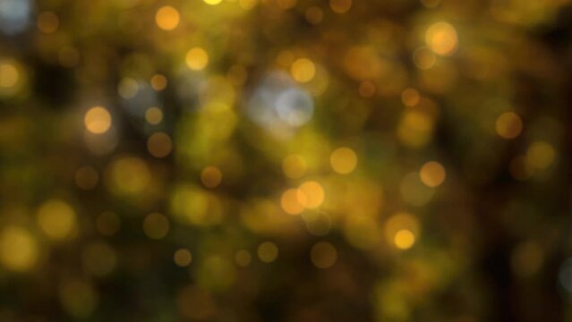 abstract golden background with bright glowing lights, shiny bokeh light effect animation with space for autumn season holidays or christmas celebration or happy new year card