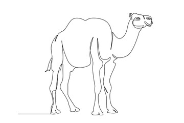 camel animal mammal full body length one single line art