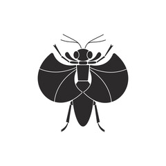 Insect order strepsiptera  geometric icon vector illustration