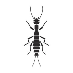 Insect order grylloblatodea icebug geometric icon vector illustration