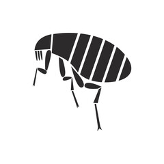 Insects order siphonaptera flea geometric icon illustration