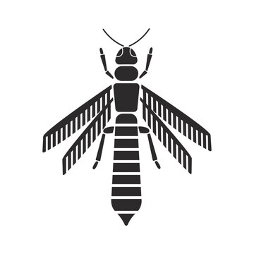 Insects order thysanoptera thrips geometric icon illustration