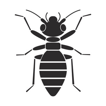 Insect order psocoptera Barklice geometric icon vector illustration
