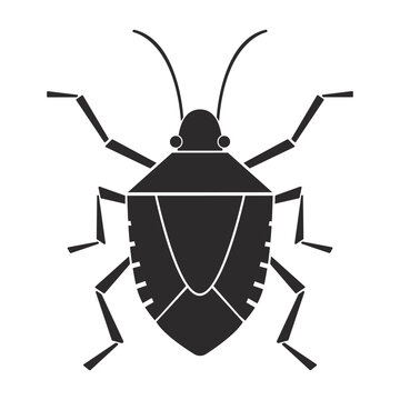 Insects order hemiptera bug  geometric icon illustration