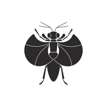 Insect order strepsiptera  geometric icon vector illustration
