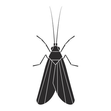 Insect order trichoptera caddisfly geometric icon vector illustration