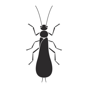 Insects order plecoptera stonefly geometric icon illustration