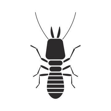 Insect order isoptera termite geometric icon vector illustration
