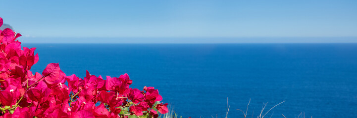 Bougainvillea flowers and panoramic ocean background with copyspace - Powered by Adobe