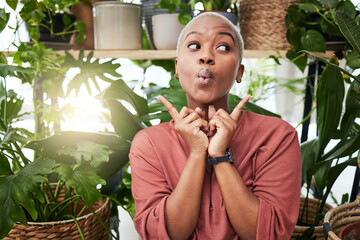 Black woman, silly face and green house plant with comedy feeling happy feeling shy. African female...