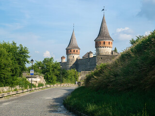 Fototapeta na wymiar A stone road leads to a medieval castle with high towers with conical roofs