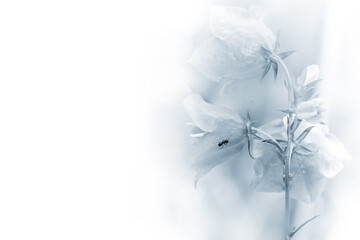snow covered branches,forest bells in artistic style, light background, pastel colors
