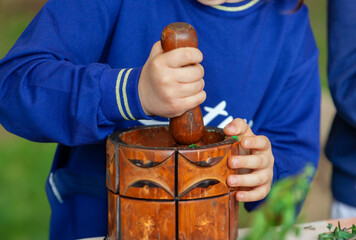 Child grinds aromatic herbs in a mortar. Outdoor experience.