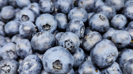 fresh ripe wet blueberries. shallow depth of field