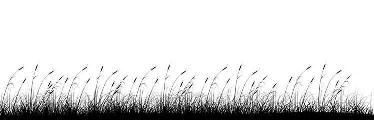 Growing reeds panoramic background design. Riverside. Vector illustration with empty copy space for text. Editable shape for poster decoration. Creative and customizable panorama image - obrazy, fototapety, plakaty