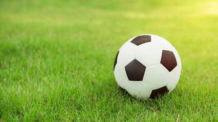 Fototapeta na wymiar soccer ball on green grass on blurred background and space for text