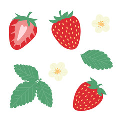 Strawberry vector flat illustration set, fruit clip art with flower and leaves