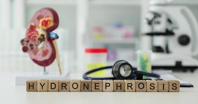 Hydronephrosis causes symptoms diagnosis and treatment in clinic. Inflammatory processes in bladder and ureter