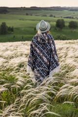 Summer landscape, feather grass field, sky with clouds. A woman in a hat and a Peruvian poncho, seen from the back.