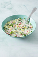 Cold summer soup Okroshka, soup with vegetables and sausage, eggs and fresh herbs and yogurt, traditional Russian soup