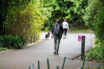 couple walking in a garden. man and woman walk in nature under trees surrounded by plants. family together in a park in spring time