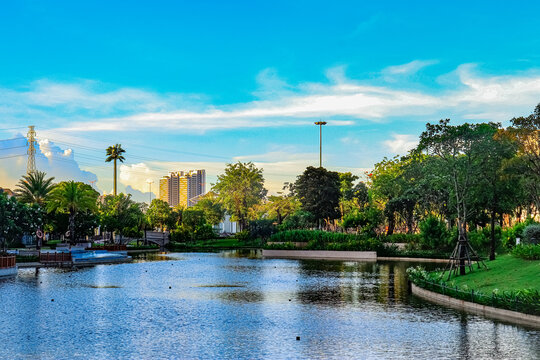 pool in the park