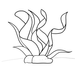 Seaweed lined design drawing.