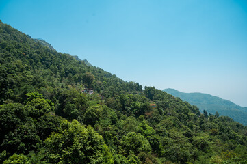 Fototapeta na wymiar Landscape view of Orange garden and Green tea garden in Darjeeling tea valley