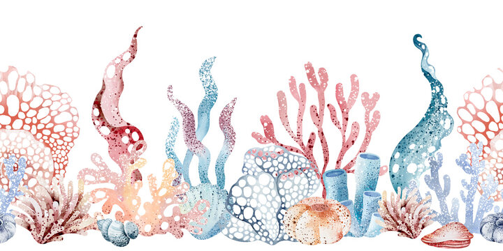 marine seamless border of underwater marine animals and plants octopus, seahorses, crabs, starfish, jellyfish. Marine inhabitants of the underwater world. Sea border isolated on white background