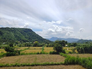 Beautiful landscape with mountain,rice field and temple