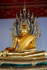 The head of the Buddha statue at Wat Pho.