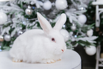 White fluffy rabbit on the bokeh background of the Christmas tree.