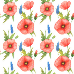 Watercolor poppy flowers seamless pattern on white