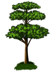 PNG tree 