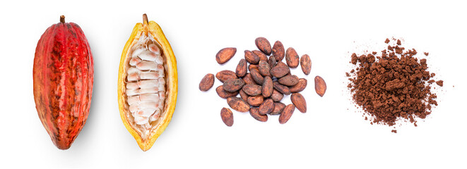 Fototapeta Cocoa fruit with cocoa bean and cacao powder isolated on white background, top view, flat lay. obraz